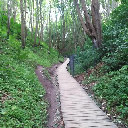 Accommodatie bij particulieren Lesny Zakatek